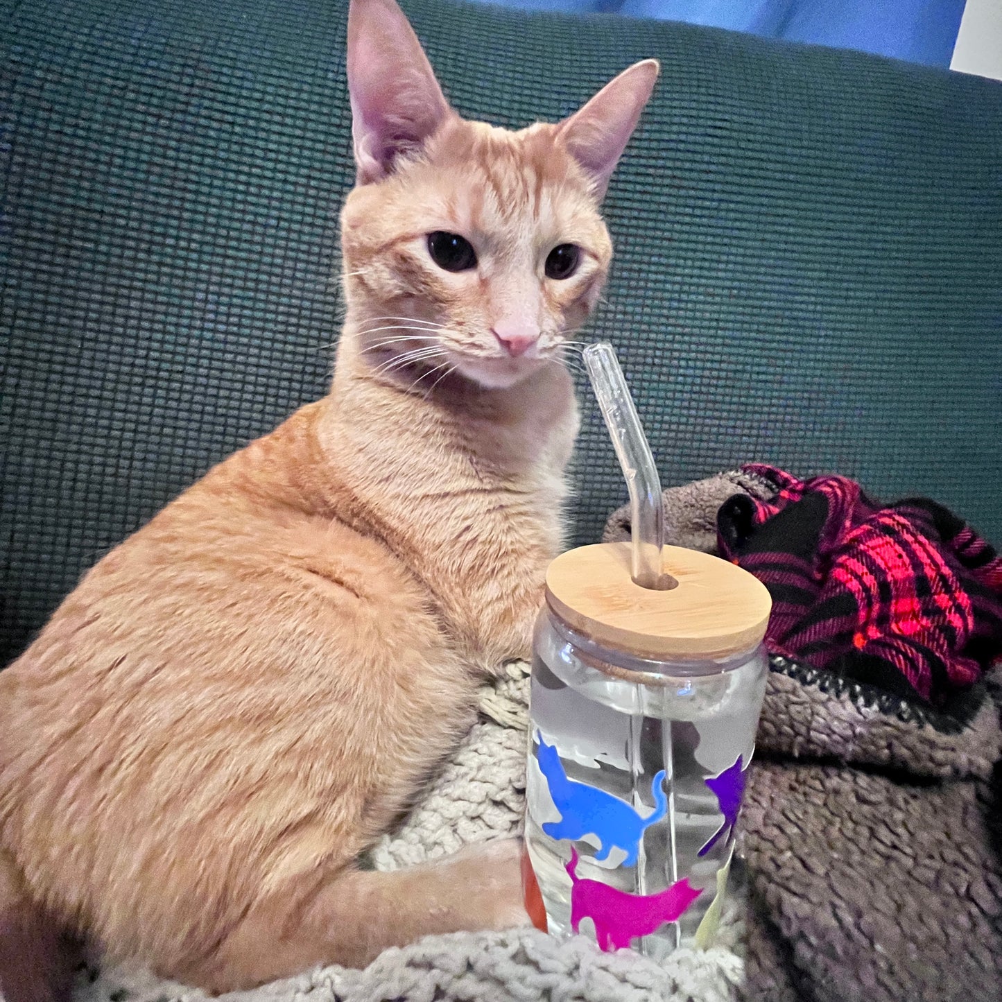 Cat Cup