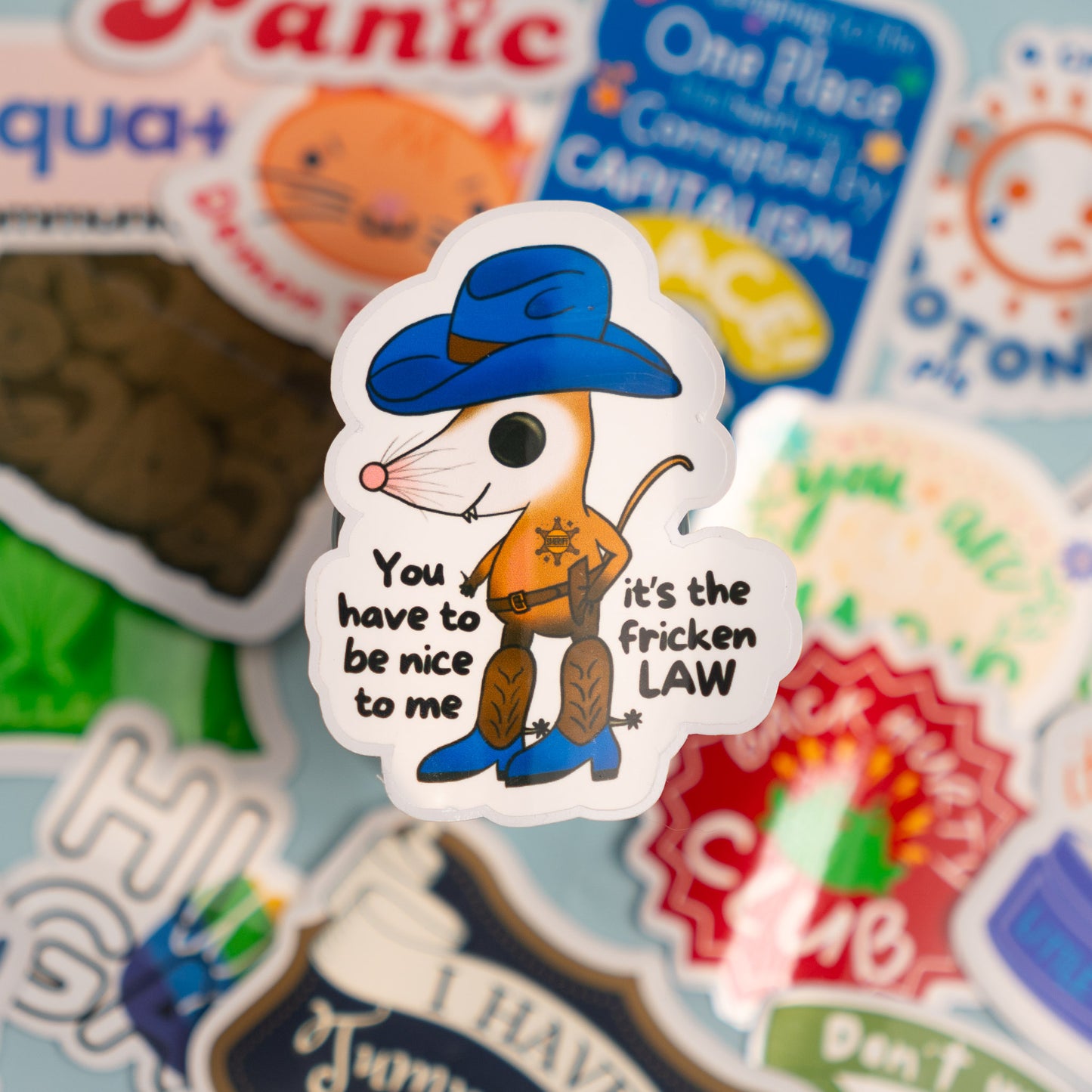 It's The Law Sticker